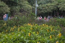 Recorrido por el Ecoparque de la Biodiversidad, un pulmón verde al sur de Cali