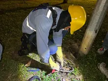 Cali se transforma con luz led: más de 41 mil luminarias alumbran la ciudad y recuperan la tranquilidad en los barrios