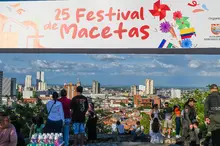 Cali celebró el ‘Día de los Ahijados’ con la edición 25 del ‘Festival de Macetas’: una tradición que nunca debe acabar
