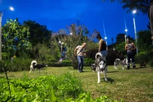 Cali se renueva con luz: parque Los Robles ya cuenta con iluminación led