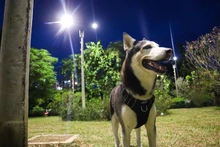 Cali se renueva con luz: parque Los Robles ya cuenta con iluminación led