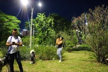 Cali se renueva con luz: parque Los Robles ya cuenta con iluminación led