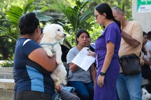 ¡No los devuelvas! Llamado urgente a la tenencia responsable de  animales en Cali