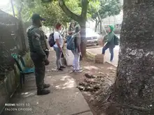 Autoridades investigan posible envenenamiento de 21 aves rapaces