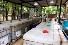 Gracias a los recicladores de oficio, Cali se consolida como  ciudad modelo en gestión de residuos
