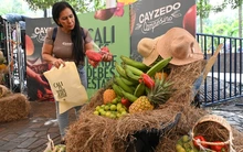 La Macrorrueda de Negocios tendrá su ‘zona verde’ este sábado en la Plaza de Cayzedo