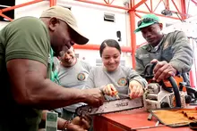Grupos de emergencia se preparan para atender emergencias ambientales que involucren el arbolado urbano