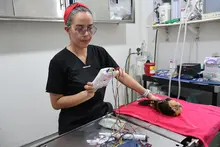 Con terapias alternativas mejoramos la calidad de vida de los animales atendidos en el Hogar de Paso del Dagma
