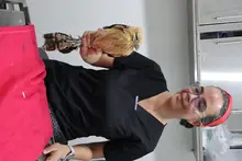 Con terapias alternativas mejoramos la calidad de vida de los animales atendidos en el Hogar de Paso del Dagma