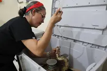Con terapias alternativas mejoramos la calidad de vida de los animales atendidos en el Hogar de Paso del Dagma