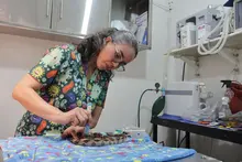 Con terapias alternativas mejoramos la calidad de vida de los animales atendidos en el Hogar de Paso del Dagma