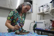 Con terapias alternativas mejoramos la calidad de vida de los animales atendidos en el Hogar de Paso del Dagma