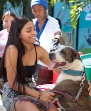 Alcaldía de Cali promueve formación práctica para futuros cuidadores de animales en convenio con instituciones educativas