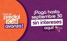INSTANCIA-Y-HOME-WEB_102005