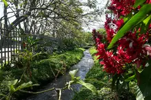 En agosto concluyen obras de fase final en el ‘Ecoparque de la Biodiversidad COP16’ 