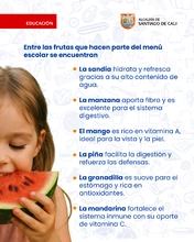BENEFICIOS DE LAS FRUTAS PAE 2