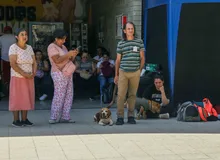 Vacunar a tus ‘peluditos’ es un acto de responsabilidad: aumentan los casos de moquillo y parvovirus por falta de inmunización