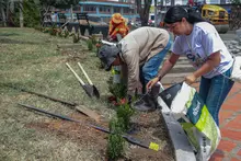 El parque de San Nicolás se vistió de color, alegría y esperanza:  un regalo de amor por los 489 años de Cali