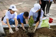El parque de San Nicolás se vistió de color, alegría y esperanza:  un regalo de amor por los 489 años de Cali