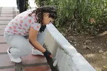 El parque de San Nicolás se vistió de color, alegría y esperanza:  un regalo de amor por los 489 años de Cali