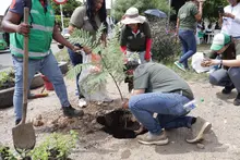 Continuamos adornando a Cali: este fin de semana desde el Dagma se ajardinaron seis parques en las comunas 2, 14 y 19
