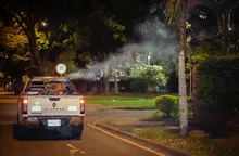 Cali toma medidas contra el dengue utilizando inteligencia artificial