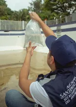 Cali toma medidas contra el dengue utilizando inteligencia artificial