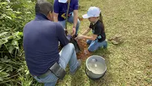 Con el programa ‘Distrito + Verde’, Cali conmemora 489 años en sus barrios