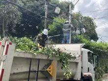 Con el programa ‘Distrito + Verde’, Cali conmemora 489 años en sus barrios