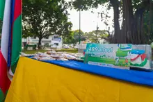 300 plantas que embellecen un parque en San Fernando: el regalo de la Clínica Imbanaco para Cali en su cumpleaños