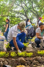 300 plantas que embellecen un parque en San Fernando: el regalo de la Clínica Imbanaco para Cali en su cumpleaños