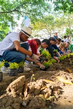 300 plantas que embellecen un parque en San Fernando: el regalo de la Clínica Imbanaco para Cali en su cumpleaños