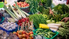 Este 27 de julio, los sabores del campo llegan directo al corazón de Granada