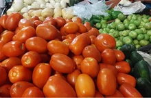 Este 27 de julio, los sabores del campo llegan directo al corazón de Granada