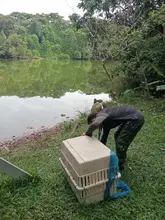 Caleña adoptó 6 huérfanos 