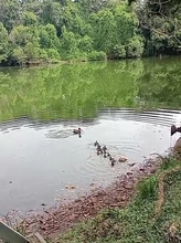 Caleña adoptó 6 huérfanos 