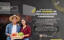 Consejo de Juventudes