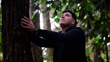 Tres lugares en Cali para conectar con la naturaleza en el Día Nacional de la Vida Silvestre