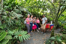 Tres lugares en Cali para conectar con la naturaleza en el Día Nacional de la Vida Silvestre