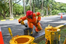 Guerreras de la Cuadrilla Rosa: historias de fuerza, trabajo y esperanza