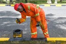 Guerreras de la Cuadrilla Rosa: historias de fuerza, trabajo y esperanza