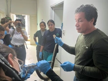 Un tigrillo volvió a casa tras cinco meses en el Hogar de Paso del Dagma: historia de recuperación única en su especie