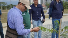 Más de 92.000 m² de zonas verdes tiene Cali