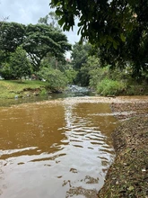 El Dagma hace seguimiento a la calidad del agua en los ríos Cali y  Aguacatal