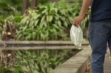¿Dónde hay agua estancada? Allí pueden ir los guppies: aprende a cómo solicitar su siembra y prevenir el dengue
