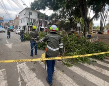 El Dagma atiende solicitudes ambientales de la ciudadanía en la Comuna 4