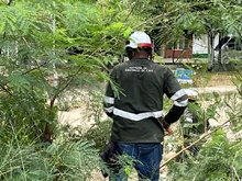 El Dagma atiende solicitudes ambientales de la ciudadanía en la Comuna 4