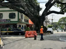 Promesa cumplida: alcaldía de Alejandro Eder pavimenta vía en el barrio El Jardín que tenía peligrosos huecos