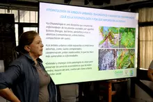 Funcionarios del Dagma acceden a nuevas herramientas para cuidar el arbolado urbano de Cali