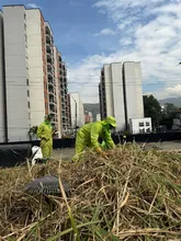 Punto crítico de residuos en Prados del Norte fue intervenido por la  Alcaldía Eder tras años de abandono